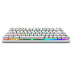 Alienware Pro Wireless Gaming