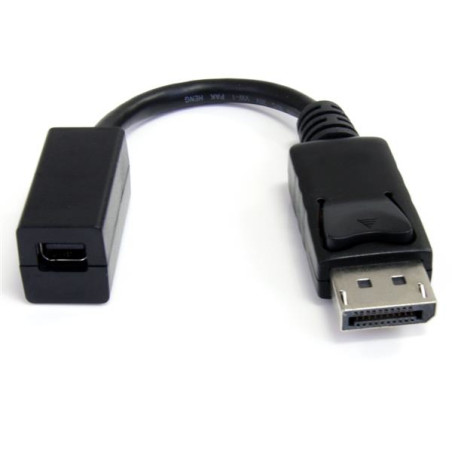 DisplayPort to Mini DisplayPort Adapter