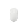 WIRELESS HYGIENE MOUSE WITH