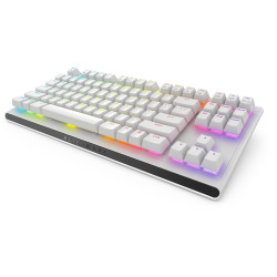 Alienware Tenkeyless Gaming