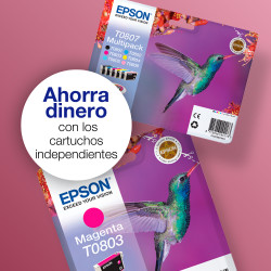 Epson T0801 - 7.4 ml - negro - original - blíster - cartucho de tinta