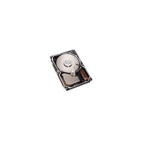 2X 36.4GB U320 15K