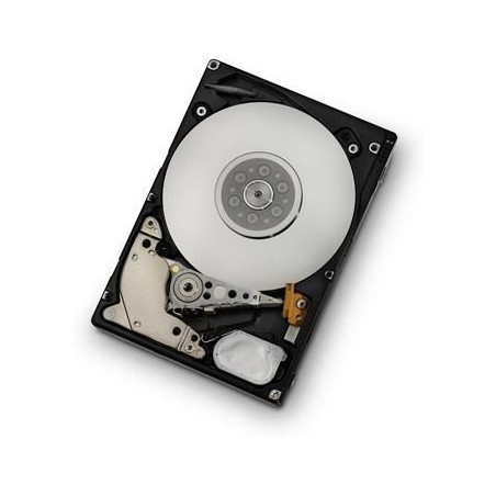 300GB SAS 10000RPM 64MB 2,5"