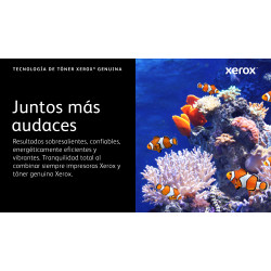 Magenta Std Captoner 2.4K F/ VLC500 VLC505 | APLIUM