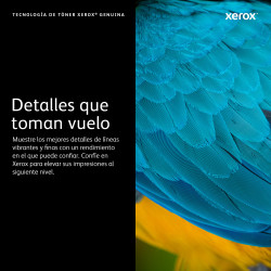 C600YELLOWEXTRACAPTONERCART (16 800PAGES)/FVLC600 | APLIUM