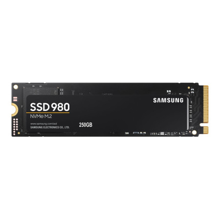 980 M.2 250 GB PCI Express