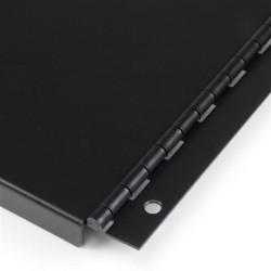 4U Solid Blank Panel with Hinge