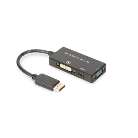 DisplayPort converter cable,