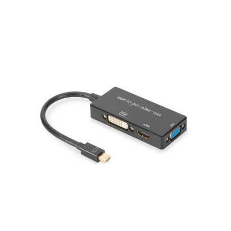 DisplayPort converter cable,
