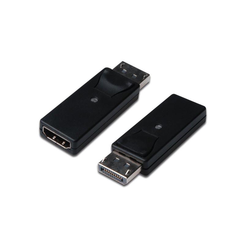 DisplayPort adapter, DP -