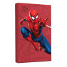 Seagate FireCuda STKL2000417 - Spider-Man Special Edition - | APLIUM