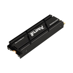 Kingston FURY Renegade - SSD - 4TB - interno - M.2 2280 - PC | APLIUM