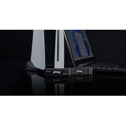Kingston FURY Renegade - SSD - 4TB - interno - M.2 2280 - PC | APLIUM