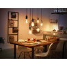 Philips Hue - Bombilla con filamento LED - forma: A60 - E27 | APLIUM