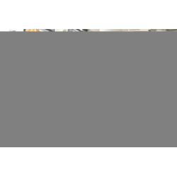 Poly Edge E550 IP Ph Poe-e | APLIUM