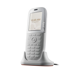 Rove 40 Dect IP Phone Handset Eu | APLIUM