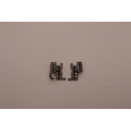 Serval 1.0 INTEL FRU hinge
