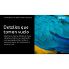 Xerox - Gran capacidad - magenta - original - caja - cartuch | APLIUM