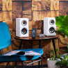 BoomBoom 460 | APLIUM