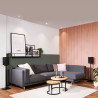 Speaker Anywhere 650 | APLIUM