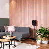 Speaker Anywhere 650 | APLIUM