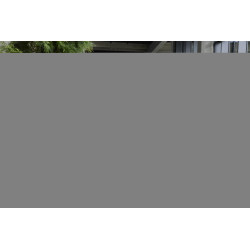 HP Elite T755 Ryzen V2546 256GB 16GR W10 Iot | APLIUM