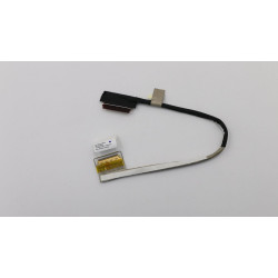 Cable