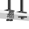StarTech.com Monitor Desk Mount For 49" Ultrawide Curved Scr | APLIUM