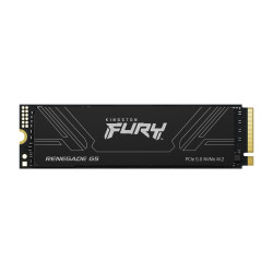 Kingston FURY Renegade G5 - SSD - 4 TB - interno - M.2 2280 | APLIUM