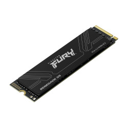 Kingston FURY Renegade G5 - SSD - 4 TB - interno - M.2 2280 | APLIUM