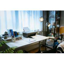 HP Deskjet 2920 All-in-One - Impresora multifunción - color | APLIUM