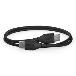 Sc22 Usb Cable 0.3 M Usb C