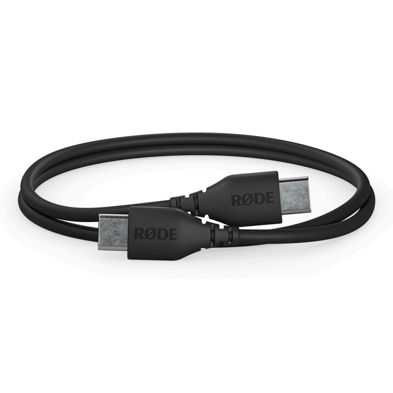 Sc22 Usb Cable 0.3 M Usb C