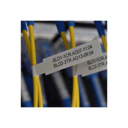P-touch Cube Professional Label Maker - Dedicated To Constru | APLIUM