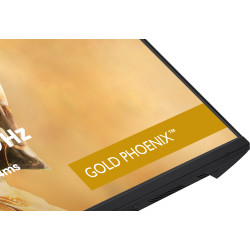 iiyama G-MASTER Gold Phoenix GB3295QSU-B1 - Monitor LED - ga | APLIUM
