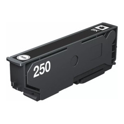 Epson 250 - 5.3 ml - negro - original - blíster con alarmas de RF/acús