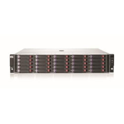 StoreEasy 25FF Disk Enclosure