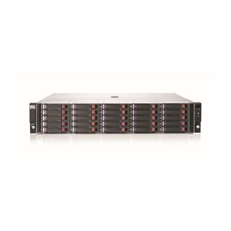 StoreEasy 25FF Disk Enclosure