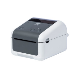 Brother TD-4215D - Impresora de etiquetas - térmica directa - Rollo (1