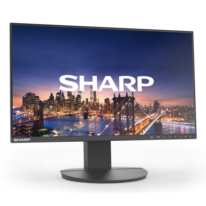 MODEL DD-EA241F, Black, 24" LCD monitor, FHD(1920x1080), DP, HDMI, DVI