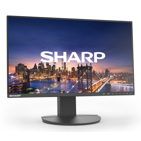 MODEL DD-EA241F, Black, 24" LCD monitor, FHD(1920x1080), DP, HDMI, DVI
