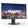 MODEL DD-EA241F, Black, 24" LCD monitor, FHD(1920x1080), DP, HDMI, DVI