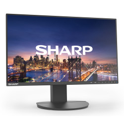 MODEL DD-EA241F, Black, 24" LCD monitor, FHD(1920x1080), DP, HDMI, DVI