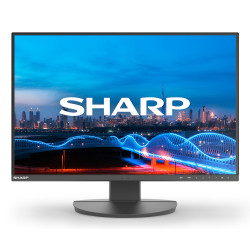 MODEL DD-EA241W, Black, 24" LCD monitor, WUXGA (1920x1200), | APLIUM