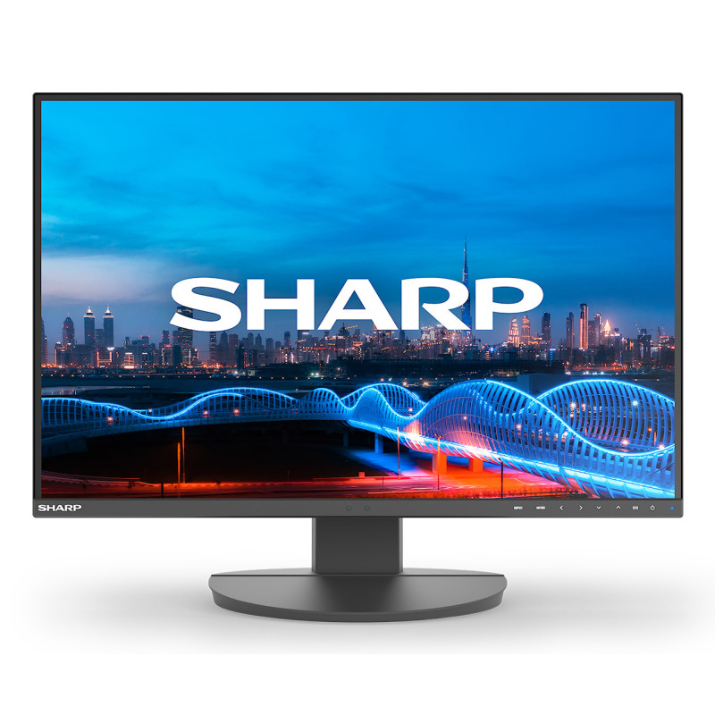 MODEL DD-EA241W, Black, 24" LCD monitor, WUXGA (1920x1200), | APLIUM