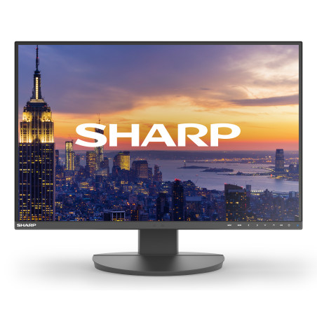 MODEL DD-EA242W, Black, 24" LCD monitor, WUXGA (1920x1200), DP, HDMI,