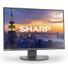 MODEL DD-EA242W, Black, 24" LCD monitor, WUXGA (1920x1200), DP, HDMI,