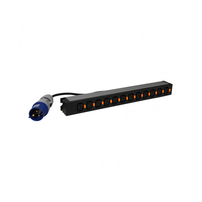 Basic PDU 19" 12 C13 outputs