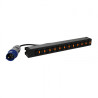Basic PDU 19" 12 C13 outputs