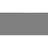 Kingston NV2 - SSD - 500GB - interno - M.2 2280 - PCIe4.0 x4 | APLIUM